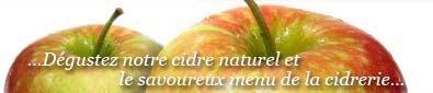 Disfruta de nuestra sidra natural y el sabroso men� de sidrer�a