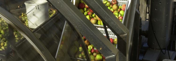 Almacen manzanas
