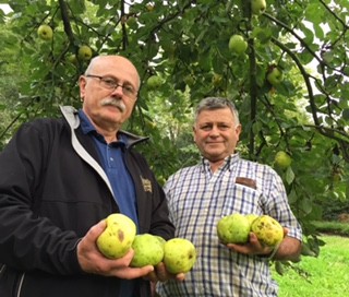 LA NUEVA COSECHA DE 2015